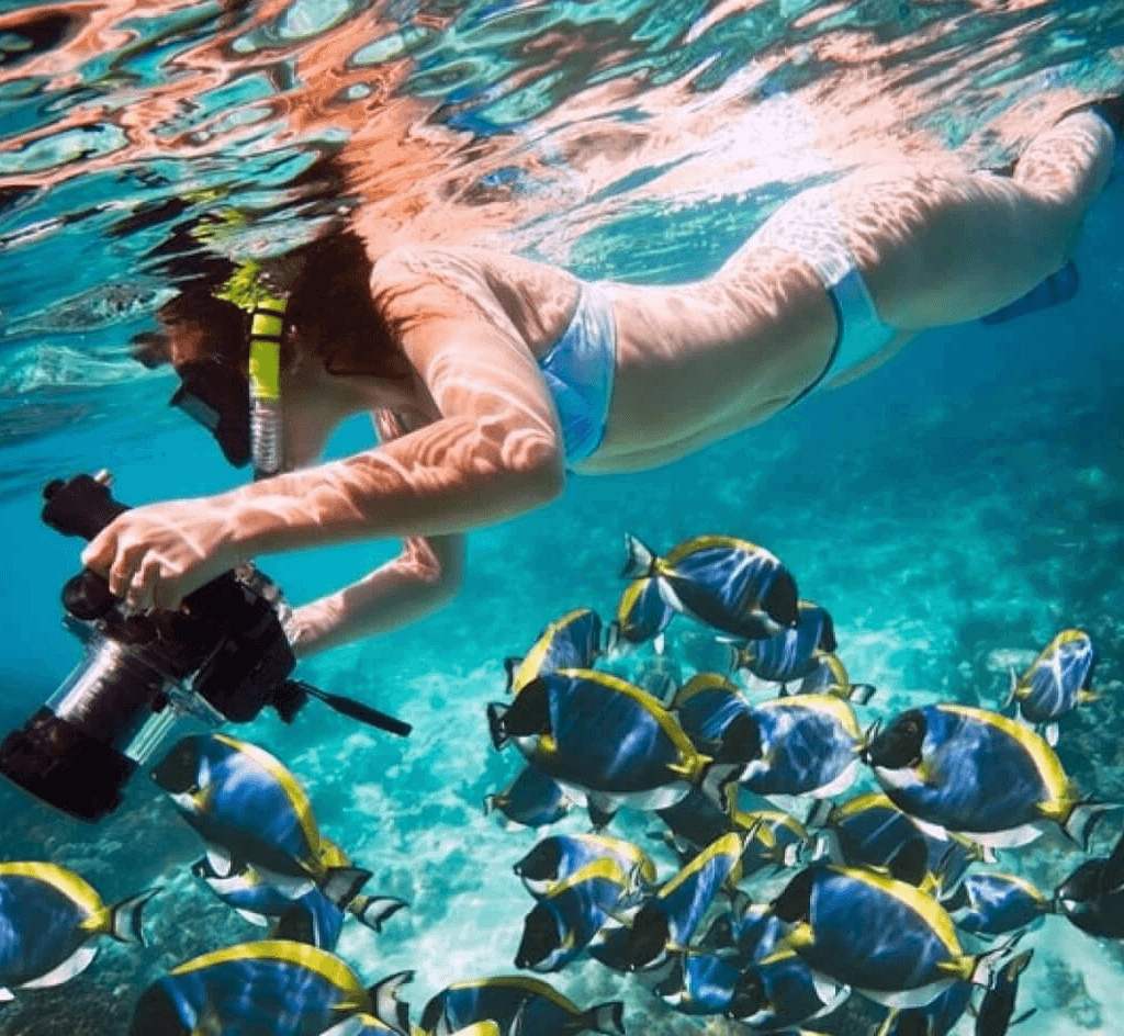 a-very-nice-photo-of-a-woman-underwater-taking-some-photos-of-fish